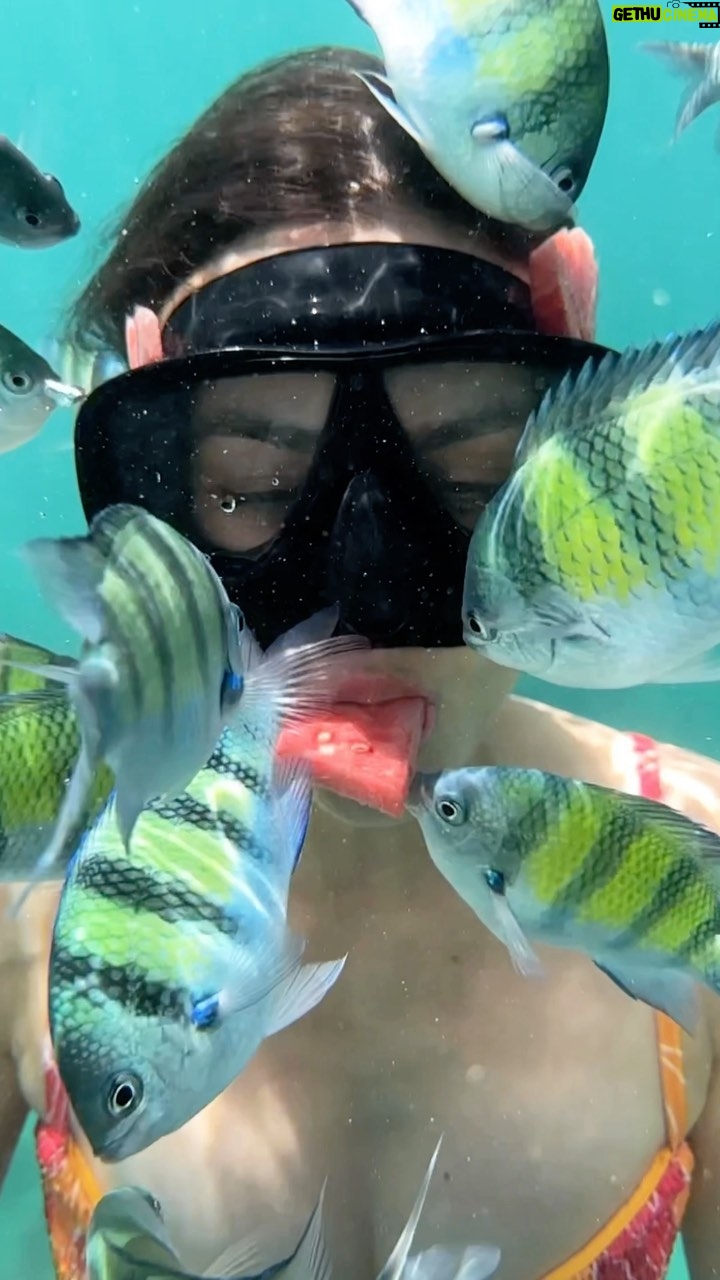 Victoria Justice Instagram - Just call me the fish whisperer 🐠🍉💕 #Phuket #Thailand 🎥: @h1.films