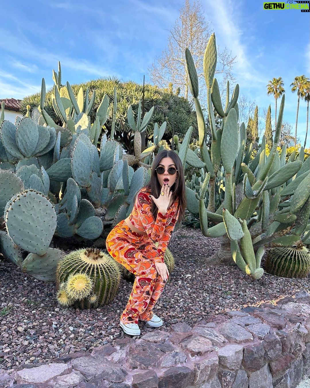 Victoria Justice Instagram - Don’t be a prick, stream my new song #LastManStanding 🌵🫶🏼 Sincerely, Queen Victoria Agave ;)