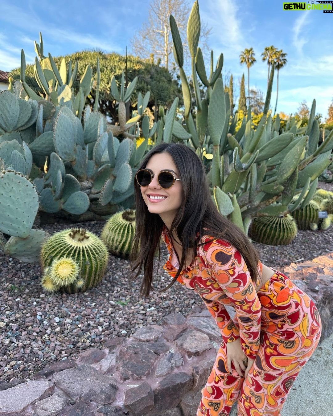 Victoria Justice Instagram - Don’t be a prick, stream my new song #LastManStanding 🌵🫶🏼 Sincerely, Queen Victoria Agave ;)