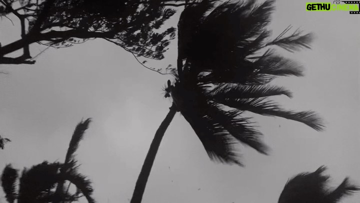 Vin Diesel Instagram - No power, No water, roads closed… and yet there was something so beautiful about being in the center of the Hurricane. Wisdom is more easily recognized. Life has a way of forcing you to take a second. Reflect. The clarity that comes when Nature roars. Gratitude… Cuz when RAIN FALLS IT DON’T FALL ON ONE MAN’S HOUSE — we’re all in the same boat, same planet, one people…