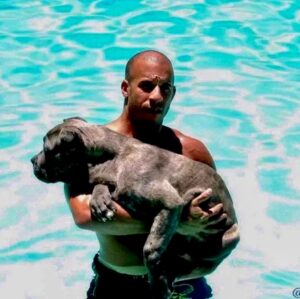Vin Diesel Instagram - I reflect on how fortunate I am to have had you all believe in me… it makes me want to reach higher… and to make you proud. Thank you for being on this journey with me called life. 
Grateful and blessed…