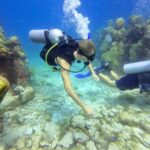 Vincent Michael Webb Instagram – I’m officially a certified scuba diver @scuba_cancun 

#scubacancun #scubadiver #islamujeres #cancun #underwaterphotography #underwaterworld #cancunlife #beachboy #vincentcancun Cancún México