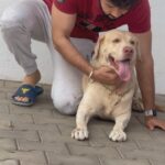 Vishnu Instagram – In a world of humans, life is better with paws and unconditional love 🐕🩶

.

.

.

.

.

.

.

.

.
#bigboss #VishnuVijay #VVonBB7 #VVians #VishnuVijayFans #kamalhaasan #kollywood #actor 
#VishnuVijayForLife  #VVLove #Disneyplushotstartamil #BiggBossTamil #BBT #BB7 #BBTamilSeason7 #பிக்பாஸ் #hero #vishnuvijay #instagram #vishnu #bigboss7 #instagood #viral #trending #instadaily #outfit #ootd #7 #fashion