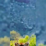 Vishwa Raghu Instagram - NTR love @jrntr