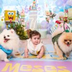 Vitória Moraes Instagram - Minhas vidas 💜 Como é gostoso fazer tudo isso por você nossa pequena! A gente se diverte muito e te ver sorrir é o meu combustível! Bob esponja, patrick, lula molusco, sirigueijo, garry, plâncton e nossa sandy! Foto: @fabiana_monteiro_fotografia Decoração: @by_dianamota Personalizados de luxo: @welovemimos_personalizados Bolo e doces: @rabellocaique Lembrancinhas: @ateliebyneidebarbosa Flores: @lojabeatrizflores Painel de Led: @agenciae Painéis decorativos: @knartespaineis_ Projeto 3D: @dyovana.artista3d Iluminação: @casaliluminadoeventos Balões: @mixbaloes Piscina de bolinhas: @moveisdonafernanda Esculturas grandes: @lacenografias Esculturas de biscuit: @libelula.artesanal