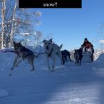 Walter Jones Instagram - Dogsledding in Alaska! What a blast!!! #walterejones #blackranger # powerrangers #alaska #dogs #adventure #bucketlist