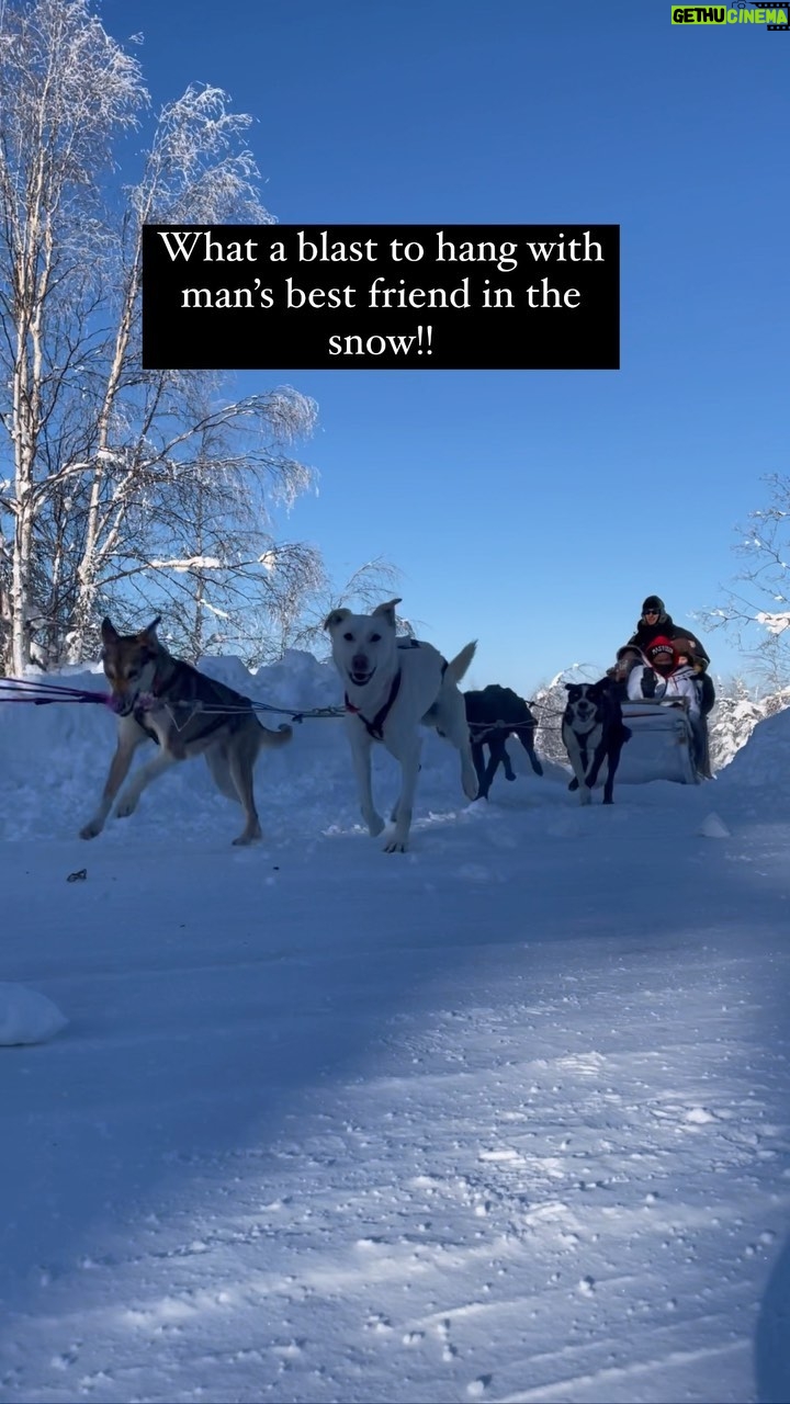 Walter Jones Instagram - Dogsledding in Alaska! What a blast!!! #walterejones #blackranger # powerrangers #alaska #dogs #adventure #bucketlist