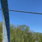 Walton Goggins Instagram - The perfect Hudson Valley day… americas longest zip line @catamountmtnresort a cold beer and some of the best food around @quinniesnewyork and listening to our boy play the Irish fiddle. Thank you universe for this day!