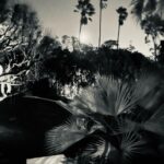 Walton Goggins Instagram - My wife just directed her first movie… 20 years it’s taken her to reach this moment. 2 decades of successes and failures… she never gave up. I’m so fucking proud of you. Your words and world view are a revelation. She couldn’t have done it without the help of so many incredible people who gave their time, their talent… to pay if forward. That’s what you do in life… whenever you get the opportunity… you Pay it forward. Thank you to so many people that made this possible. This crew that gave it their all… with nothing… for nothing. There are no words. (Not pictured are Rufus Sewell and Eva Di Dominici but thank you both from the bottom of whatever heart I have) From her biggest fan. I appreciate it. #theuninvited