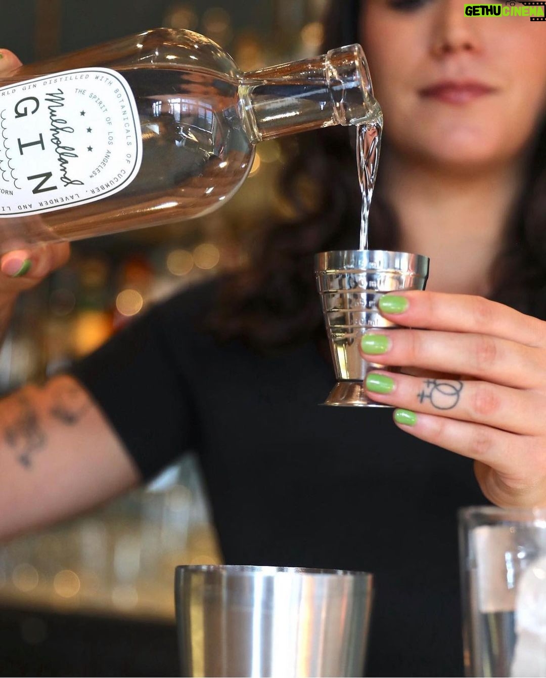 Walton Goggins Instagram - From soup to nuts… or close to it. Good drinks with good friends… Happy international GIN day! @mulholland.spirits @sgwsofnv