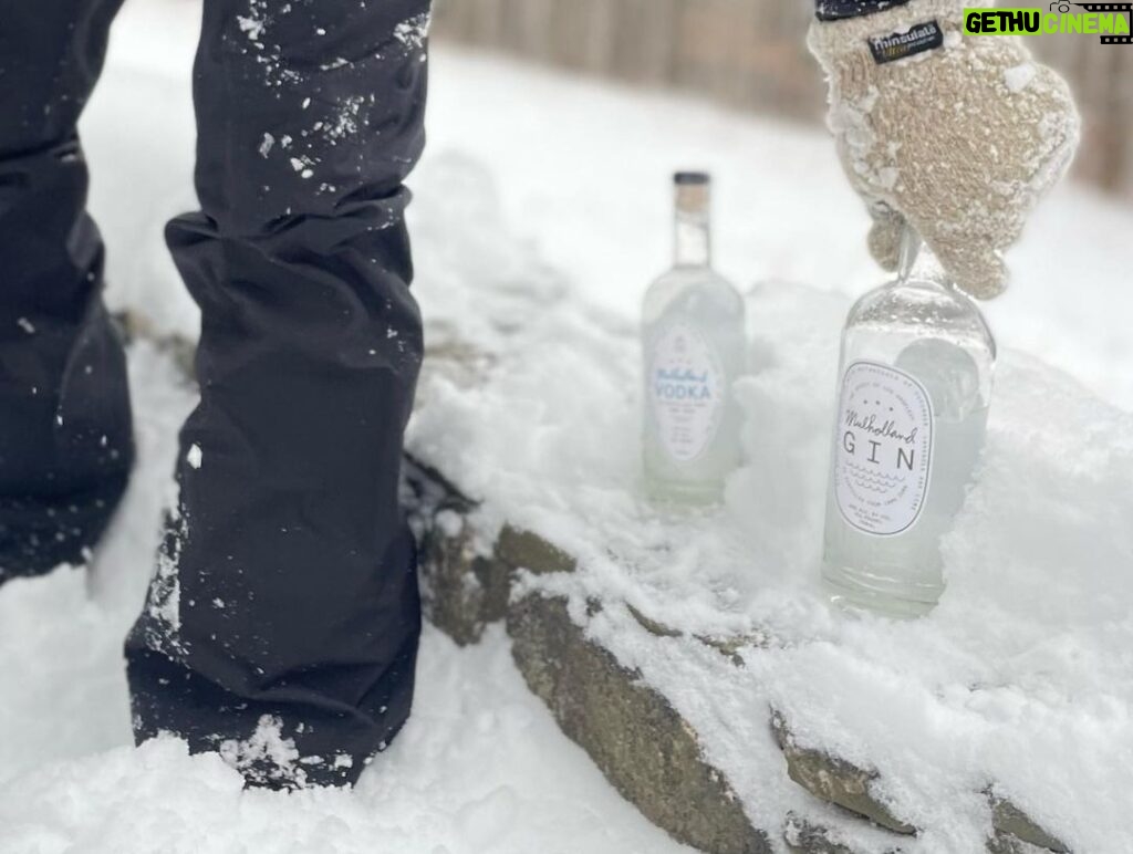 Walton Goggins Instagram - Freezer…or… you could just do this… I think we all need a drink today! @mulholland.spirits