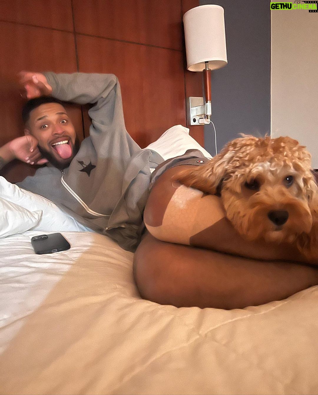 Warren Egypt Franklin Instagram - Happy 1st birthday to my son and literal road dog BRONX πΎπ€ thx you for keeping my anxiety down, for being the most intrepid and intuitive learner, for being patient with me, and most of all making me the happiest dog dad ever! On Tour :)