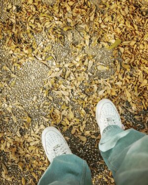 Wayne Song Instagram - 應該要直接在這邊置產的（最好有頭期啦）🎬🍂