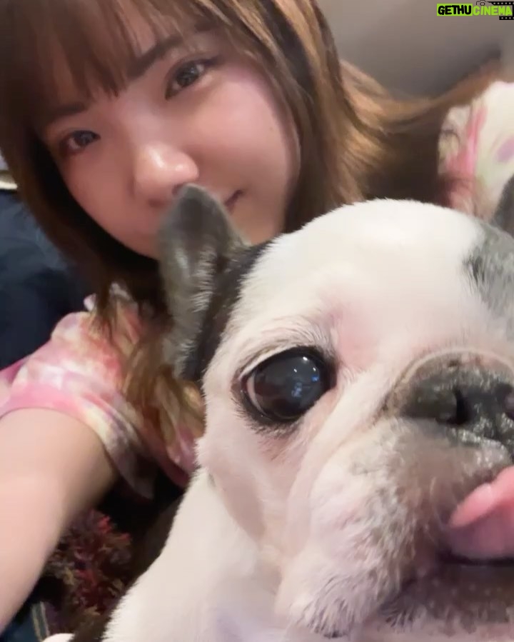 Yûka Eda Instagram - 気づいたら8月折り返してた!やばい!しかし気にせず7月を振り返るッ✊ 1 こういうシズル1番テンションあがるよね🍝 2 地元の友達が遊びに来た。完全にブラッシュアップライフ。自分はあーちんポジです。 3 犬LIFE 4 2ヶ月格闘した案件、脳が溶けそうだったので編集室で一筆入魂しました。読める? 5 君たちはどう生きるか、を池袋におかわりしにいって、家で夏ごはん🌽 6 怒涛の撮影後に大人4人で高校生みたいなマックの楽しみ方をした夜 7 ハリーポッター スタジオに遊びに行きました。楽しすぎて7時間ぐらい居ました。 8 引きのハグリットはスタントって知ってた?知らなかったよ! 9 かほちゃんが旅立つので皆でお見送りの会 10 お見送りの会だけど普通に夜中までアイロンビーズやってたんだが。。? 7月も爆速で過ぎていったけど8月はさらにやばい。なんだ?気づいたらもう終わる?! 遊び倒したけど働き倒してもいる。 忙しい時こそ、遊ぶことをあきらめない...!心! そうそう怒涛の撮影が始まるから筋トレを再開しました。 良い秋冬をお届けできるようにやることをやる!熱中症にはお気をつけて!台風はこないでッ! 8月も健やかに過ごしましょう✊や〜本当に..いつもありがとうございます!
