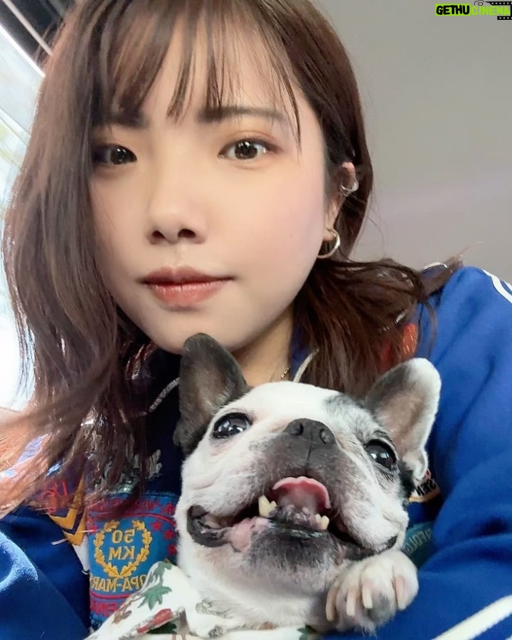 Yûka Eda Instagram - 5月振り返り🌿 1 消えもの。かわいいね。ブロッコリーがエブエブ 2 高校時代の友達と犬たち。今回もこのお犬たちは一切交流しませんでした。そろそろ仲良くしてほしいのよ〜 3 友達と那須の牧場に行ってジンギスカン食べたの。サファリパークにも行ったんだよ🐎 4 私の人生には牛を黙って眺める時間が絶対に必要...🐄 5 酔すぎて1000円自販機やりました。本気でいらないものでた。逆にどうなってるの..? 6 お寿司太郎(前ちゃん)に握ってもらってみんなでおうち寿司。幸せだったァ 7そんで最高すぎて寿司Tを作った。現場で着るよん。 “寿司のことだけ考えて生きていこうな” 8 さくらももこ展。ちょっとだけ泣いた。先生は偉大だなあ。 9 今月観て良かったやつ。TAR、EO、REDROCKET。 10 わんこが世界で一番すきな動物。ほんとうにかわいい。わんこって素晴らしい。元気でいてね。 秒で過ぎ去った〜 やあ働いてたけど、同じくらい遊んだかも。載せきれなかった。自分の人生に好きな人しかいない。自慢。いつも皆さんほんとうにありがとう。 昨日でドラマの仕上げも全て終わってしまってさみしいけど、新しい出会いもあって、これから色々たのしくなるといいな。 6月も自分の機嫌は自分でとっていくスタイル🫶生きてこう🫶