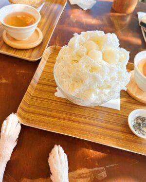 Yûka Eda Instagram - もう11月じゃん
8月の振り返りを構わず載せよう

1 ドラマ「こむぎの満腹記」の原ちゃん。激暑だったね。

2 撮影後にみんなで牧場寄ってアイス食べたんだ

3 うちのぼうやとかき氷。一緒に食べた。

4 写真集が無事発売ってことで三戸ちゃんとみんなでお祝い。行きたかった火鍋屋にいけて満足。

5 夜中までワンルームエンジェルの本打ち。マックを食べてますってわざわざ報告してくるプロデューサー。わけがわからない。スクショした。

6 だいすきるみ姉。Tシャツは俺たちの前ちゃん寿司T

7 まだ1カットも撮ってないのに転んだ撮影初日。情けなくてしばらく立ち上がれなかったんだ。

8 マジで暑いの苦手だから夏の現場は日陰命

9 夜中に小麦を撒き散らすスーパースロー撮影。寝てなさすぎてもう記憶がないよ

10 働すぎて頭がバカになってきたから「まじHELL」Tシャツを着てみた

8月の記憶がもうほぼ暑い撮影撮影撮影！でも坊や🐶とかき氷2回も食べたし、今年の夏はそれだけで満足だった。

働くのも大好きだけどギリギリまで遊んでたい人間なので、今後もそのマインドで🤙
いい作品つくるには人生死ぬ気で遊ばないとだからさ🤙
最高を知らなきゃ最高はうみ出せない🤙

今冬もよろしくお願いします💘