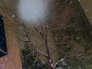 Yao Mi Instagram - 我期待的是雪還有你在的冬天❄️

聽說一起看初雪的人
會一直一直在一起🥹

但我們住在北京的台北幫
直接破壞這浪漫氣氛啦😶‍🌫️
#請看最後一則影片
#親切感就是這麼直白

迎接完雪花
接下來是聖誕·元旦·新年
還有更好的我們🤍

#2023Yaomi #初雪