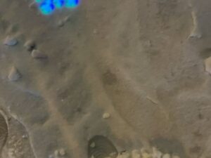 Yao Mi Instagram - 我期待的是雪還有你在的冬天❄️

聽說一起看初雪的人
會一直一直在一起🥹

但我們住在北京的台北幫
直接破壞這浪漫氣氛啦😶‍🌫️
#請看最後一則影片
#親切感就是這麼直白

迎接完雪花
接下來是聖誕·元旦·新年
還有更好的我們🤍

#2023Yaomi #初雪