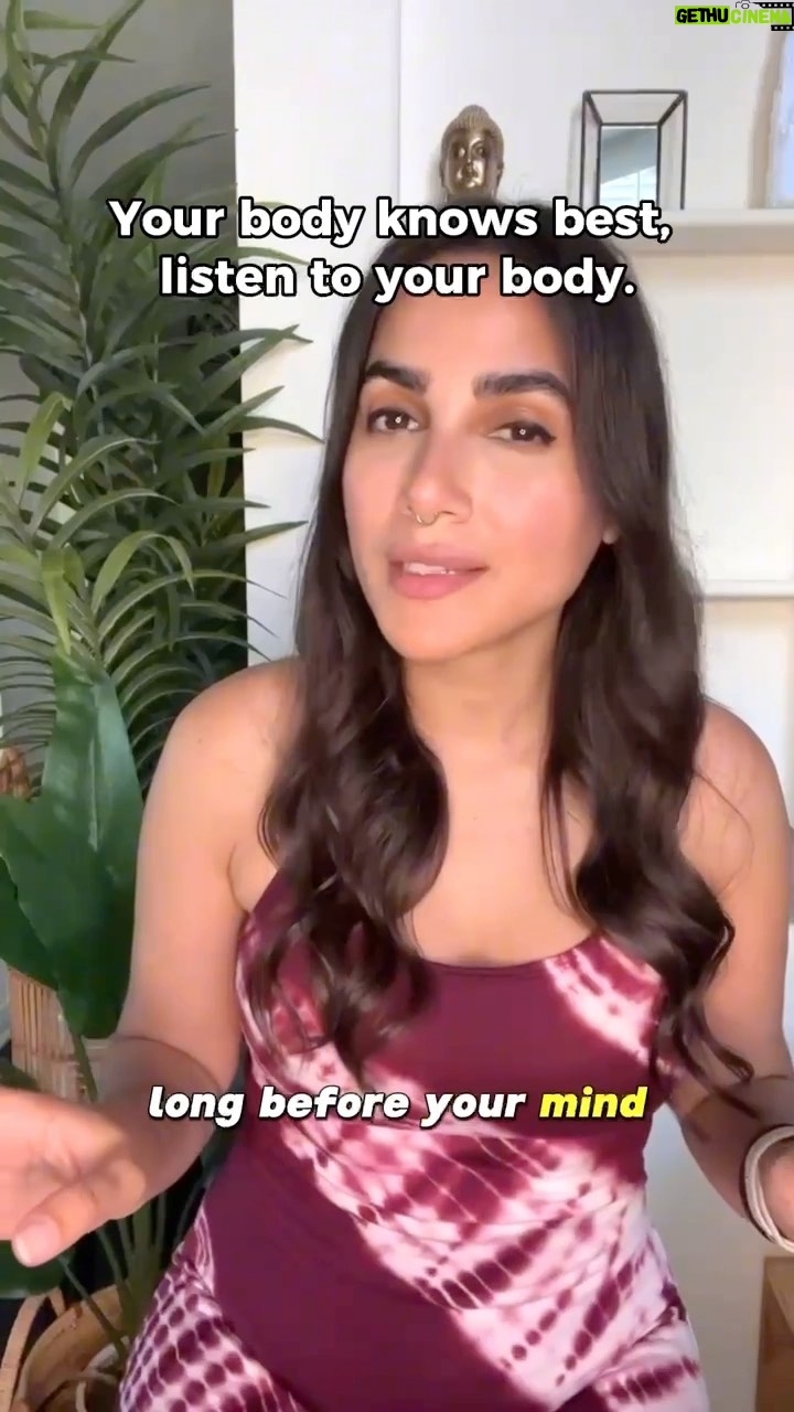 Yasmine Aker Instagram - ✨ Your body knows best, learn to listen to your body. 🤍 This doesn’t mean always avoid people because your body’s wisdom recognizes danger ahead, you wouldn’t want to live a life of avoidance. ⭐️ What it does mean, is to listen to the signals and take better precautions; know that the person you have met will likely trigger some of your deeper wounds and you will have some serious work ahead of you if you choose to navigate that person. #listentoyourbody #somatichealing #polyvagaltheory #somatictherapy #healing #emotionalintelligence #spiritualjourney #wellnessjourney #somaticexperiencing #mindbody #mindbodyconnection