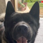 Yiğit Kalkavan Instagram - 3