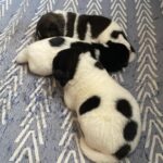 Yiğit Kalkavan Instagram - Şubat kanka