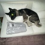 Yiğit Kalkavan Instagram - Şubat kanka