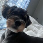 Yu Na Instagram - 5월