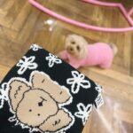 Yu Na Instagram - 드디어 ❤️ .,