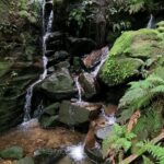 Yumi Stynes Instagram - A cup-filling weekend away in the Blue Mountains to celebrate @_sarahwilson_'s looming departure overseas 🥲 and cover more than 26km of genuinely challenging/ dangerous terrain, fall in mud, laugh deeply (all the way to my cervix) and bathe in pita bread. 1. The crew, the whole crew and nothing but the crew. 2. @_sarahwilson_ and our grumpy 15-year-old @jessmillersydney who sulked and kicked gravel and mumbled. 3. The view from our stunning digs @cloud.parade.leura 4. @timbrownmeditation made sure I didn't get left behind in the jungle 5. The ironically closed Wikileaks Cafe. Baffling. If you know, explain it to me. 6. Seriously, it's like Jurassic Park in there! 🦕 #BlueMountains 7. I'm filthy but @jeaninebribosia = immaculate. 8. The Ceremony of Giving. How does one gift to a minimalist? 9. Beverly the Doll and Shadow Beverly! 🪆 10. Yumi, Patti, Jeanine, Sarah and Jess. This was taken before any of us had gotten lost/exhausted/off-piste. How young and fresh-faced we were! 🤣
