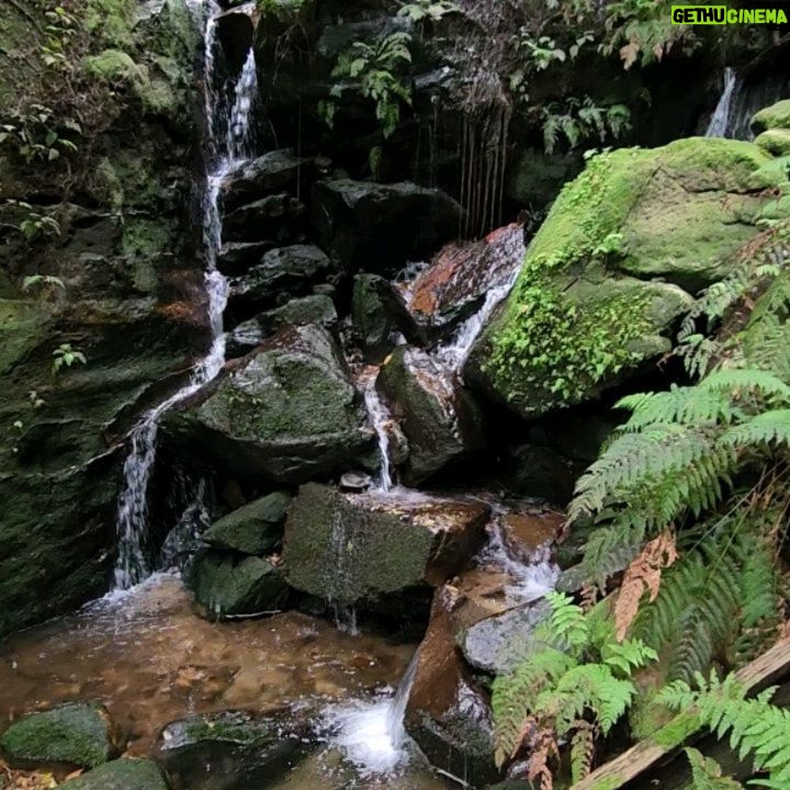 Yumi Stynes Instagram - A cup-filling weekend away in the Blue Mountains to celebrate @_sarahwilson_'s looming departure overseas š„² and cover more than 26km of genuinely challenging/ dangerous terrain, fall in mud, laugh deeply (all the way to my cervix) and bathe in pita bread. 1. The crew, the whole crew and nothing but the crew. 2. @_sarahwilson_ and our grumpy 15-year-old @jessmillersydney who sulked and kicked gravel and mumbled. 3. The view from our stunning digs @cloud.parade.leura 4. @timbrownmeditation made sure I didn't get left behind in the jungle 5. The ironically closed Wikileaks Cafe. Baffling. If you know, explain it to me. 6. Seriously, it's like Jurassic Park in there! š¦ #BlueMountains 7. I'm filthy but @jeaninebribosia = immaculate. 8. The Ceremony of Giving. How does one gift to a minimalist? 9. Beverly the Doll and Shadow Beverly! šŖ 10. Yumi, Patti, Jeanine, Sarah and Jess. This was taken before any of us had gotten lost/exhausted/off-piste. How young and fresh-faced we were! š¤£