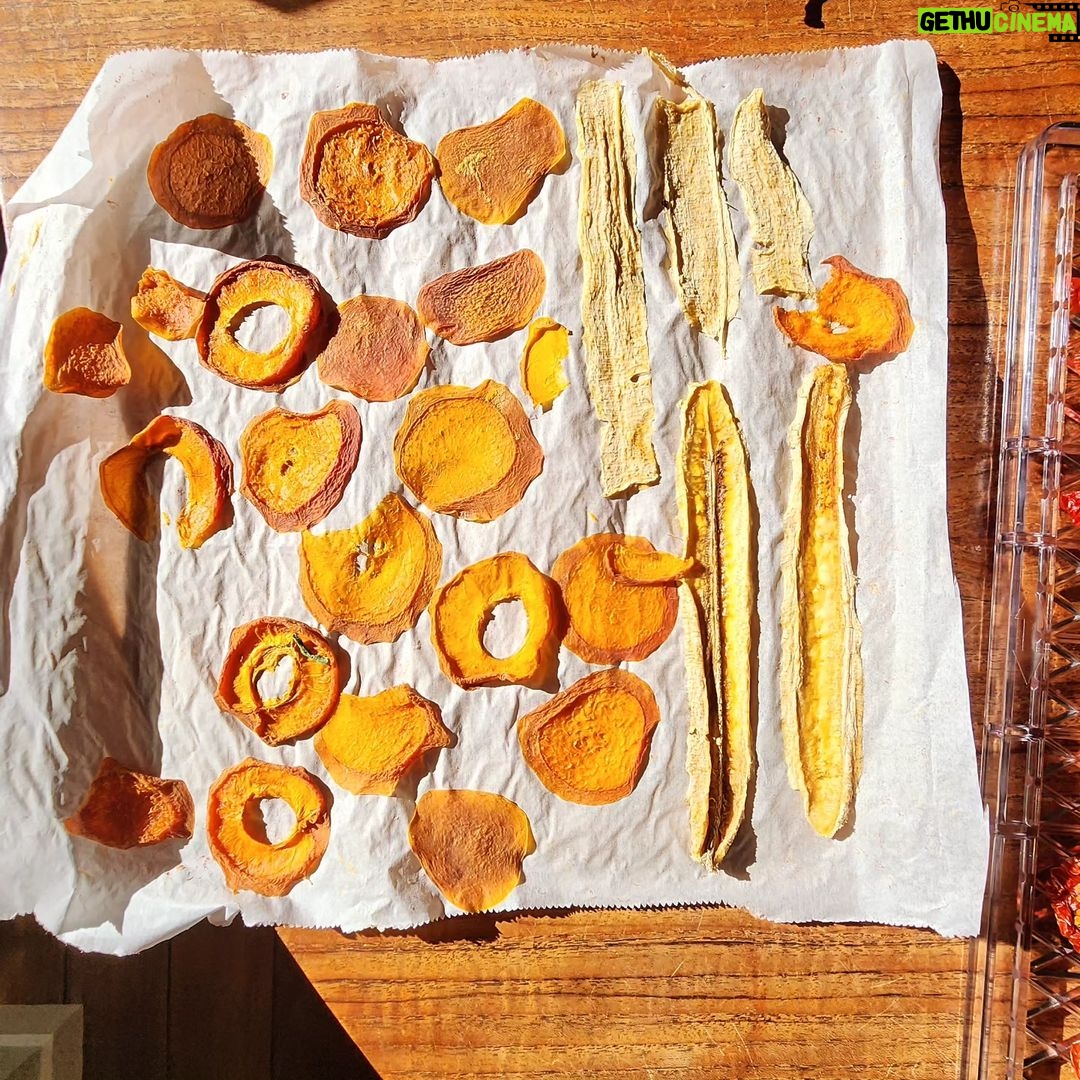 Yumi Stynes Instagram - Did you know I have a FOOD podcast? It's called 5 Minute Food Fix @5minutefoodfix because most episodes run about 5 minutes long and it's with a highly respected cookbook editor and author @simonnpdavis who's English and wry and verbal and hilarious and π― my favorite person to talk about food with. Please find the podcast, subscribe to it and share it with your friends because it's our project and the more people that listen the more chance it has to πͺ΄. Also follow the Instagram account! @5minutefoodfix Here's a look at some of the food I've been eating over the past week or so. 1. A brioche bun filled with NOODLES! Yes, NOODLES. And a fried egg. And bbq sauce. I didn't eat this -- this was my friend Lisa's audacious choice. She said it was epic. 2. The healthy bowl I got while Lisa was having her noodle burger. Perfectly balanced ππ½, no onion, no regrettable bits. 3. The jam I made because I love my neighbour and she fucken loves my jam. More about jam in our cookbook (THE FOOD FIX) and on our podcast. 4. My kid Dee Dee brought these home from the shops to share with me because she noticed that between parenting and working and seeing friends and going for runs I often eat really miserable sfuff like kid leftovers or a 3 packets of chips for dinner. 5. My self care routine *may* sometimes involve going to a restaurant by myself and ordering seafood pasta and eating r.e.a.l.l.y slowly, while reading an actual book (not my phone), without interruption. I ordered this twice and will probably order it again. 6. Dee Dee convinced the smaller kids to try cottage cheese via this clever ruse!! Wafers and watermelon π! 7. Out for dinner with @mrbenjaminlaw at a sushi train that didn't strike terror in my colon/ lower bowel. 8. Got out the dehydrator. There's definitely the creation of a Hiking Food cookbook or guide in my future. 9. Home-made granola. We talked about how to do this in one of our podcast episodes and the crystallised ginger, which you can't really see in this picture, is GENIUS in the mouth. I totally get people asking "Where is this?" Or "what restaurant is that?" but I tend not to answer because... (continued in comments...)