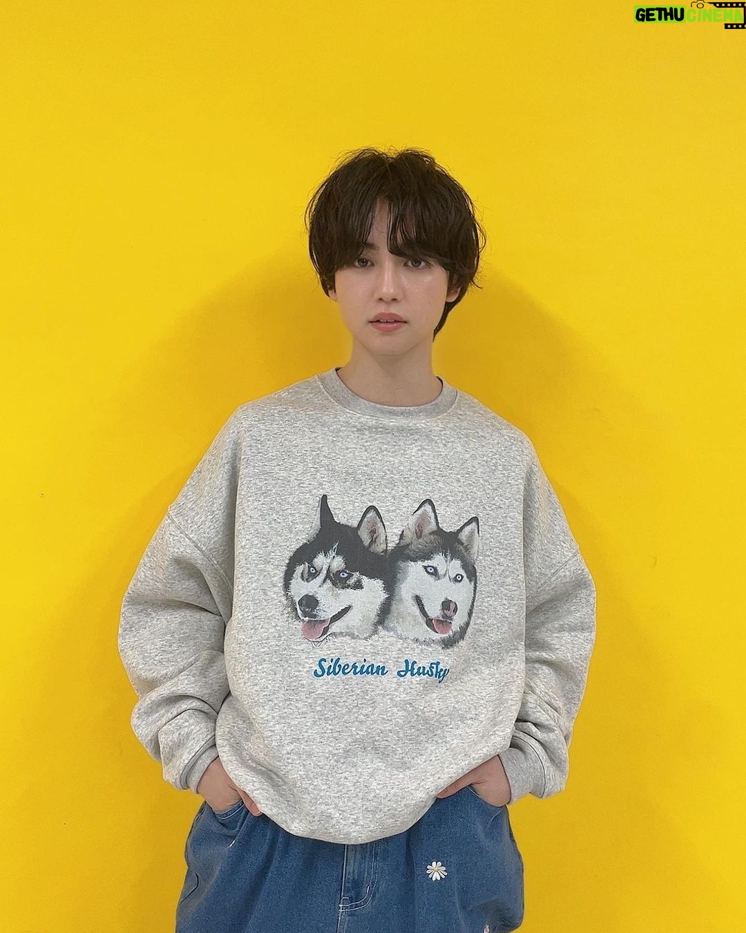 Yutaro Instagram - この度!フリークスストアさんとコラボで秋服を作らせて頂きました! ゆうたろうらしいビッグサイズのアイテムから、どんな方でも着やすいアイテムまで沢山のアイテムを作らせて貰いました!全身コーディネートも出来るようになってるので是非この秋冬で沢山着て欲しいです!めちゃくちゃ可愛くない…? 10月6日の19:00〜 実際に着用して質問答えたりするインスタライブもやる予定なので是非気軽に見に来てね〜コメント待ってます🐶💭