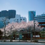 Yutaro Instagram - もうすぐ会えなくなると思うと寂しいね。