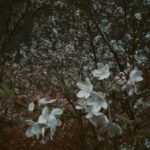 Yutaro Instagram - もうすぐ会えなくなると思うと寂しいね。