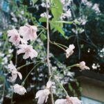 Yutaro Instagram - もうすぐ会えなくなると思うと寂しいね。