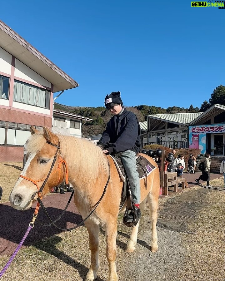 Yutaro - 19.2K Likes - 🎍年始は家族と箱根神社に初詣してきました🎍