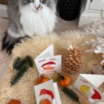 Yvonne Catterfeld Instagram - Einen besinnlichen 1. Advent wünsche ich euch! 🕯Ich habe mich schon etwas auf die Weihnachtszeit eingestimmt und fleißig Karten gemalt. Einige davon würde ich euch gerne zuschicken. 🍊 🍌 🎄Alles was ihr dafür tun müsst ist mein Album zu pre-saven, mir einen Screenshot davon zu schicken und im Nu seid ihr im Lostopf. Ihr habt bis heute Abend 20:00 Uhr Zeit! #advent #malen