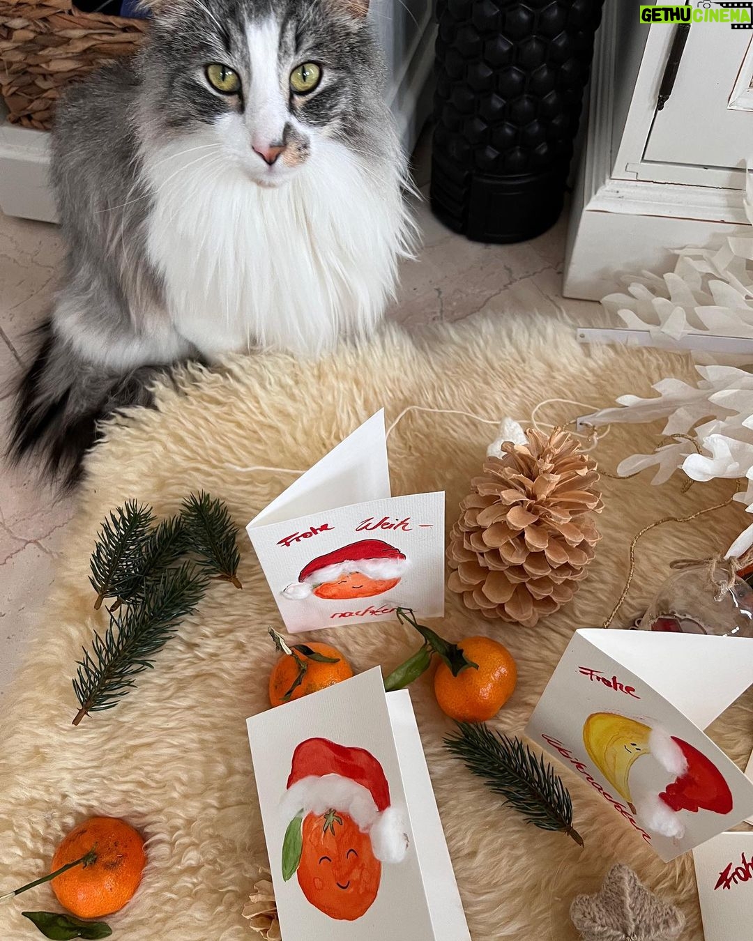 Yvonne Catterfeld Instagram - Einen besinnlichen 1. Advent wünsche ich euch! 🕯Ich habe mich schon etwas auf die Weihnachtszeit eingestimmt und fleißig Karten gemalt. Einige davon würde ich euch gerne zuschicken. 🍊 🍌 🎄Alles was ihr dafür tun müsst ist mein Album zu pre-saven, mir einen Screenshot davon zu schicken und im Nu seid ihr im Lostopf. Ihr habt bis heute Abend 20:00 Uhr Zeit! #advent #malen