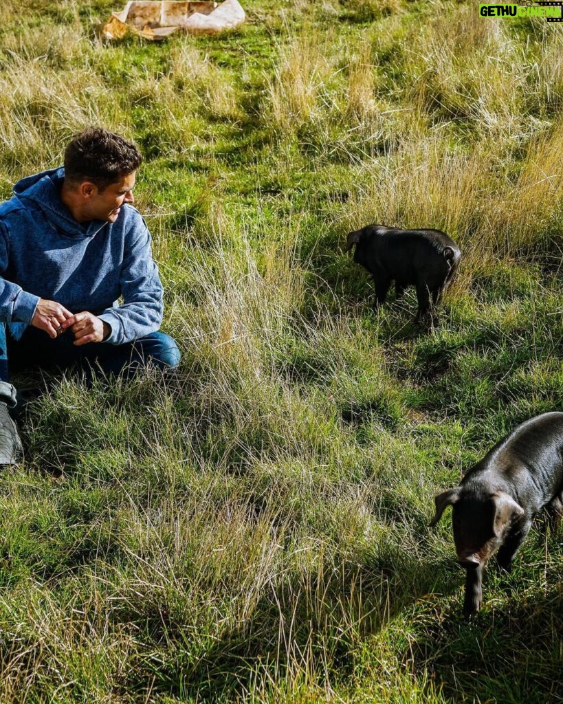 Zac Efron Instagram - 3 little pigs