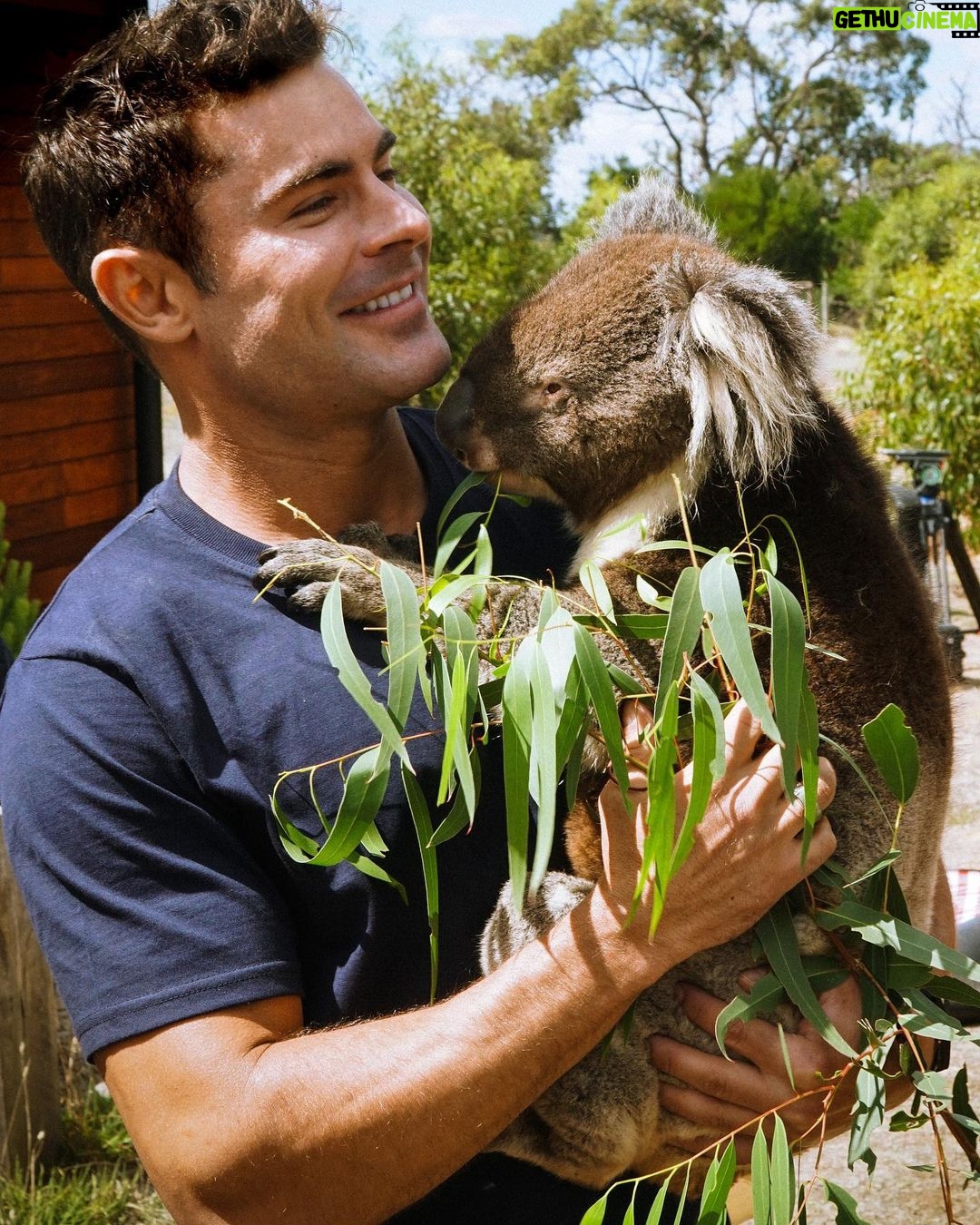 Zac Efron Instagram - Thanks to everyone who has spent some Koala-ty time watching Down To Earth on @netflix !! My friend here appreciates it too 🐨