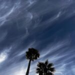 Zach Gilford Instagram - There are days and skies that make me appreciate LA