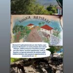 Zafer Algöz Instagram –