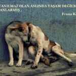 Zafer Algöz Instagram - İstediği bir tas su…1 kuru ekmek…İnsanlığımızdan utandık…