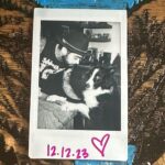 Zayn Malik Instagram -