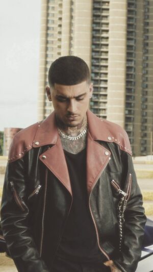 Zayn Malik Instagram - 