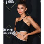 Zendaya Instagram - Thank you PCA’s for a very special night, feeling incredibly grateful