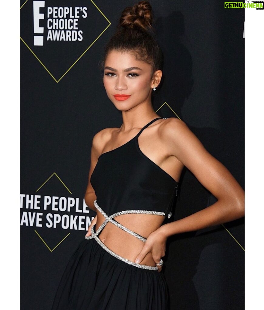 Zendaya Instagram - Thank you PCA’s for a very special night, feeling incredibly grateful