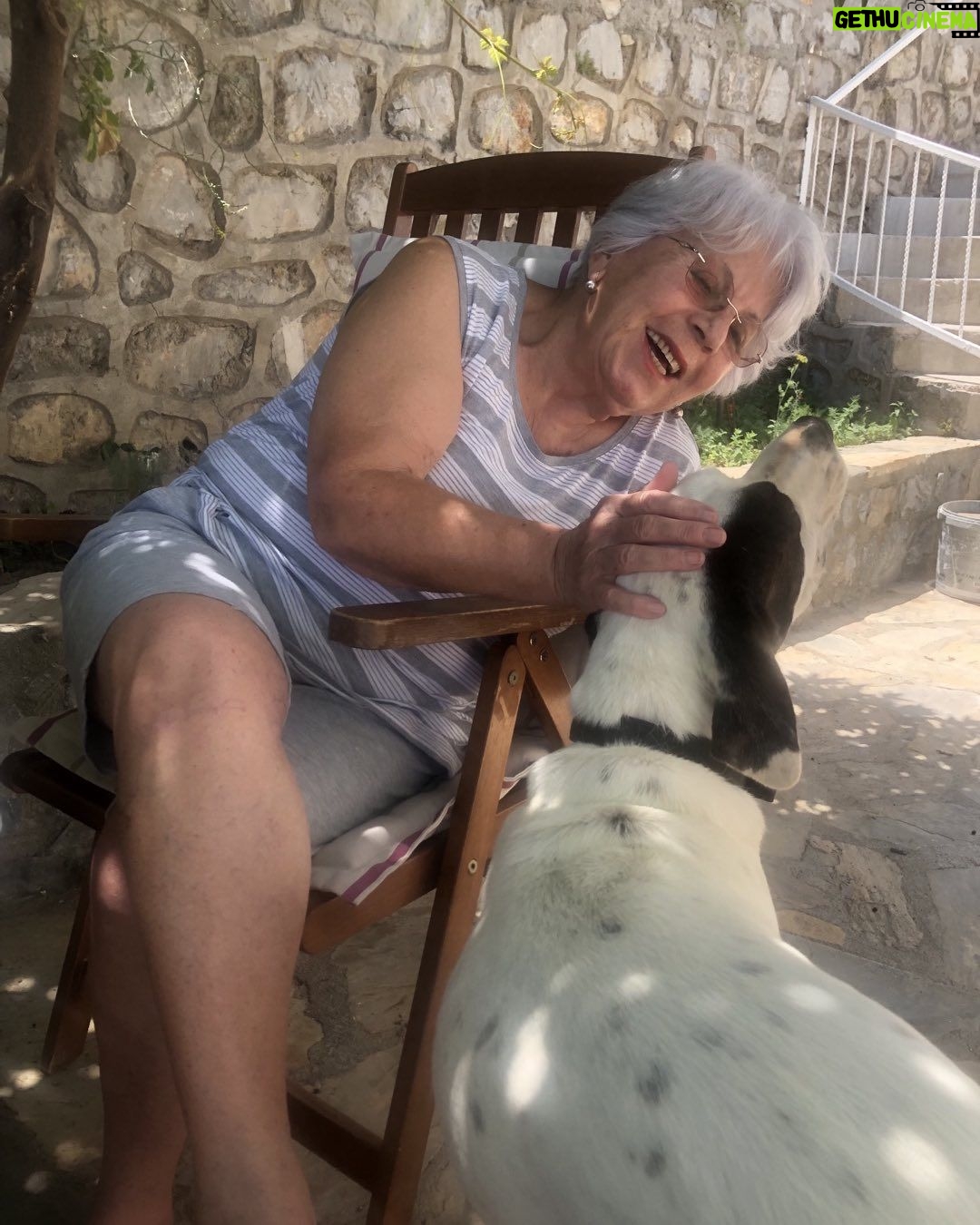 Zerrin Sümer Instagram - Sizlere güvenli güçlü dost arkadaş sevgi dolu Acarımla merhaba diyorum ✋🌺🌼🌸günaydın ….