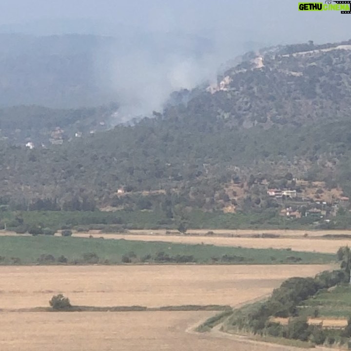 Zerrin Sümer Instagram - Çarşıda yangın mutfakta yangın cepte yangın derken hepimizin yürekleri de yandı ormanlarımız ve içindeki canlarla Bu gün , neyseki çabuk müdahale edildi Dalaman Fethiye arası çıkan bu yangına . Helikopter sesleri mi duyuyorum hala .