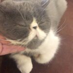 Zerrin Sümer Instagram – Çok havalıyız ❤️